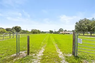 4586 California St, Brooksville, FL 34604 - Photo 9