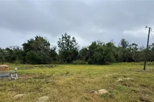 16036 Bosley Dr, Spring Hill, FL 34610 - Photo 29