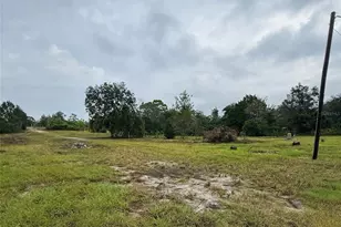 16036 Bosley Dr, Spring Hill, FL 34610 - Photo 3