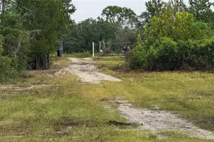 16036 Bosley Dr, Spring Hill, FL 34610 - Photo 5