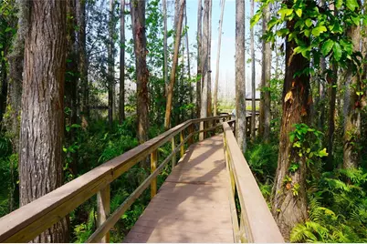 20857 Haulover Cove #B12, Lutz, FL 33558 - Photo 25