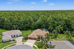 12146 Walstone Ct, Trinity, FL 34655 - Photo 33