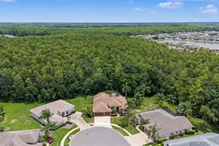 12146 Walstone Ct, Trinity, FL 34655 - Photo 31