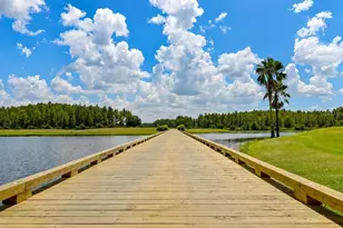 12146 Walstone Ct, Trinity, FL 34655 - Photo 39