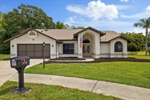 9714 El Sol Ct, New Port Richey, FL 34655 - Photo 1