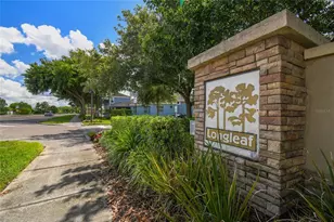 3441 Bumelia Ln, New Port Richey, FL 34655 - Photo 47