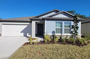 10083 Gentle Rain Dr, Land O Lakes, FL 34638 - Photo 1