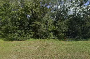 252 Commonwealth Ave N, Polk City, FL 33868 - Photo 1