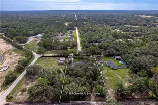 11293 Cleever St, Weeki Wachee, FL 34614 - Photo 11