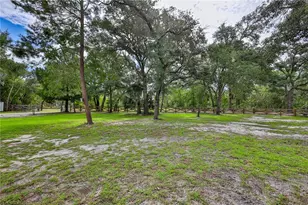 11293 Cleever St, Weeki Wachee, FL 34614 - Photo 43