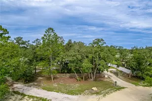 11293 Cleever St, Weeki Wachee, FL 34614 - Photo 49