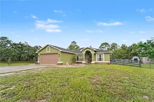 13466 Neville Dr, Spring Hill, FL 34609 - Photo 3