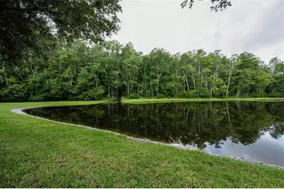 1553 Arlington Oaks Court, New Port Richey, FL 34655 - Photo 41