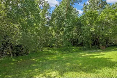 25724 Frith Street, Land O Lakes, FL 34639 - Photo 53