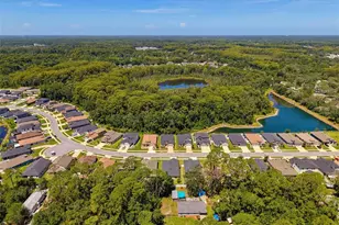 11515 Weaver Hollow Rd, New Port Richey, FL 34654 - Photo 69