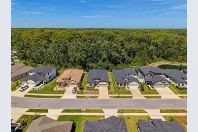 11515 Weaver Hollow Road, New Port Richey, FL 34654 - Photo 67