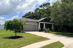 8429 Auburn Rise Ct, Land O Lakes, FL 34638 - Photo 1