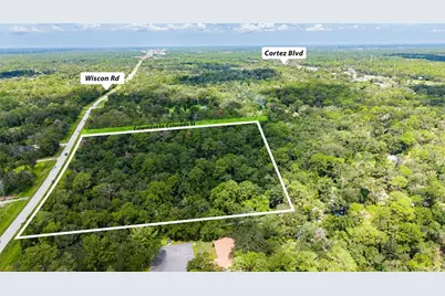 10.30 Acres Wiscon Road, Brooksville, FL 34601 - Photo 5