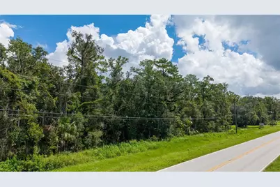10.30 Acres Wiscon Road, Brooksville, FL 34601 - Photo 9