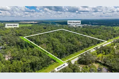 10.30 Acres Wiscon Road, Brooksville, FL 34601 - Photo 1