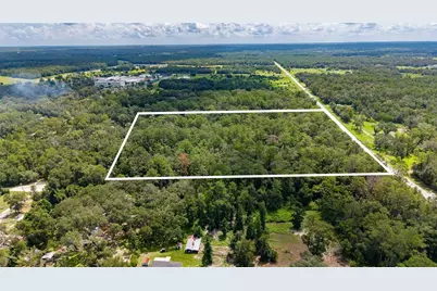 10.30 Acres Wiscon Road, Brooksville, FL 34601 - Photo 7