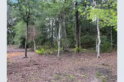 9700 SW 209th Court, Dunnellon, FL 34431 - Photo 31