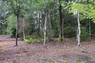9700 SW 209th Ct, Dunnellon, FL 34431 - Photo 31