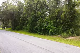 6982 N Palmer Way, Hernando, FL 34442 - Photo 1
