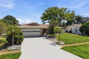 1403 Garden Ave, Tarpon Springs, FL 34689 - Photo 7