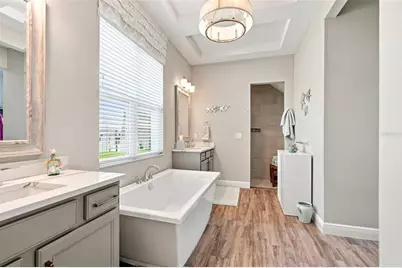 4093 Epic Cove, Land O Lakes, FL 34638 - Photo 23