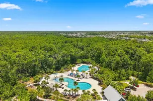 4093 Epic Cove, Land O Lakes, FL 34638 - Photo 59