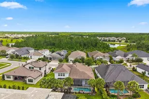 4093 Epic Cove, Land O Lakes, FL 34638 - Photo 51