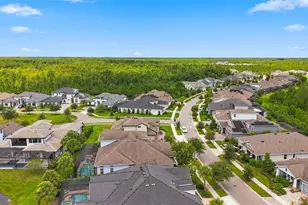 4093 Epic Cove, Land O Lakes, FL 34638 - Photo 53