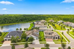 4093 Epic Cove, Land O Lakes, FL 34638 - Photo 45