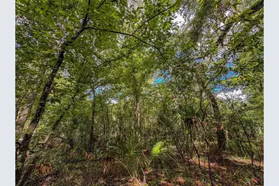 Old Hunter Road, Brooksville, FL 34601 - Photo 9