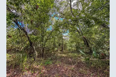 Old Hunter Road, Brooksville, FL 34601 - Photo 7