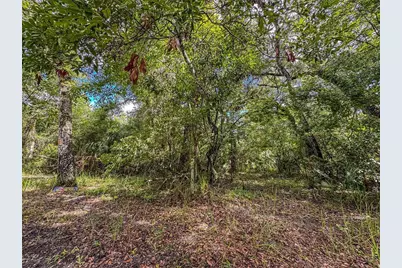 Old Hunter Road, Brooksville, FL 34601 - Photo 5