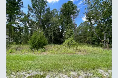 0 Thrasher Avenue, Weeki Wachee, FL 34614 - Photo 1