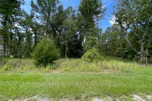 0 Thrasher Ave, Weeki Wachee, FL 34614 - Photo 1