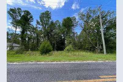 0 Thrasher Avenue, Weeki Wachee, FL 34614 - Photo 3