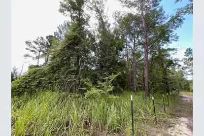 0 Thrasher Avenue, Weeki Wachee, FL 34614 - Photo 9