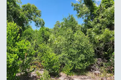 6241 Mariner Boulevard #Lot 31, Spring Hill, FL 34609 - Photo 7