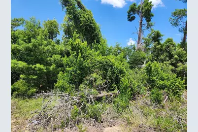 6241 Mariner Boulevard #Lot 31, Spring Hill, FL 34609 - Photo 1