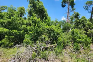 6241 Mariner Blvd, Spring Hill, FL 34609 - Photo 1
