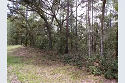 601 E Marquette Lane, Citrus Springs, FL 34434 - Photo 3
