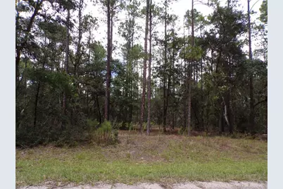 601 E Marquette Lane, Citrus Springs, FL 34434 - Photo 1
