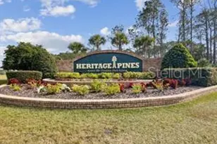 18735 Rolling Hills Loop, Hudson, FL 34667 - Photo 39