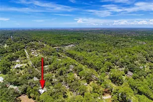 11 Patricia Rd, Yankeetown, FL 34498 - Photo 87