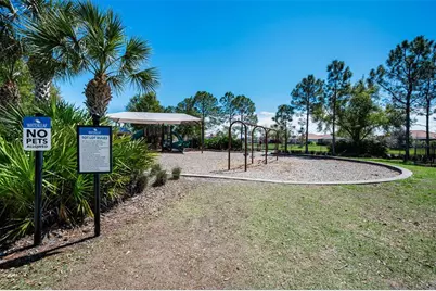 11923 Cinnamon Fern Drive, Riverview, FL 33579 - Photo 73