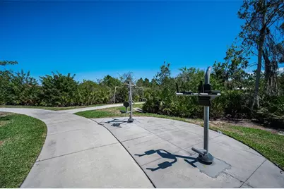 11923 Cinnamon Fern Drive, Riverview, FL 33579 - Photo 83